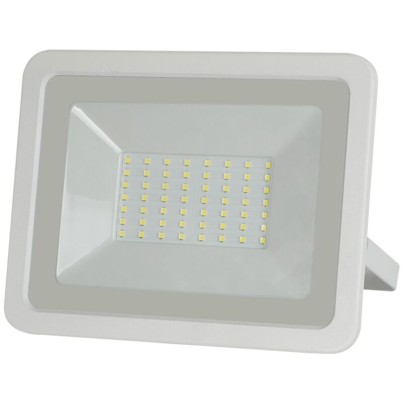 foto del prodotto alca power proiettore led 175 265v da 50w 4000 k luce diurna