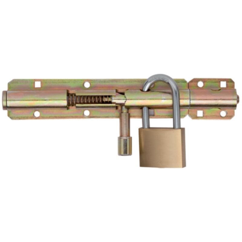 foto del prodotto aldeghi luigi spa catenaccio portalucchetto automatico 20 cm 200 mm acciaio zincato