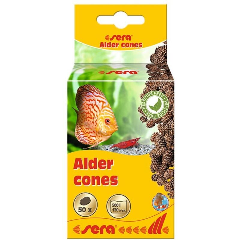 foto del prodotto alder cones 50pz pigne di ontano sera