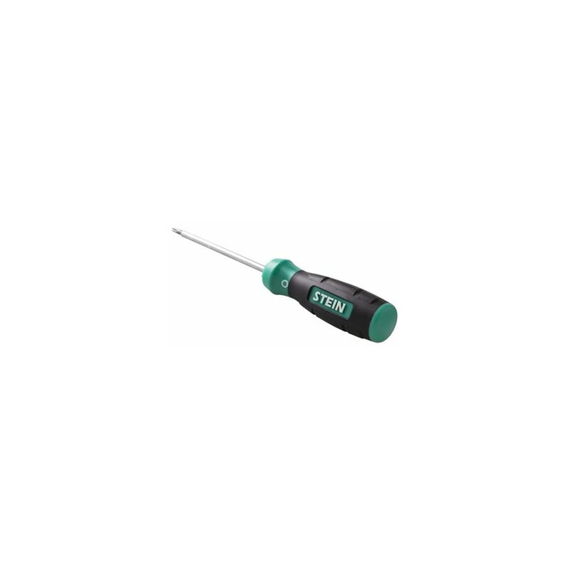 foto del prodotto alfa dyser cacciavite stein torx t20x100mm con punta diamantata