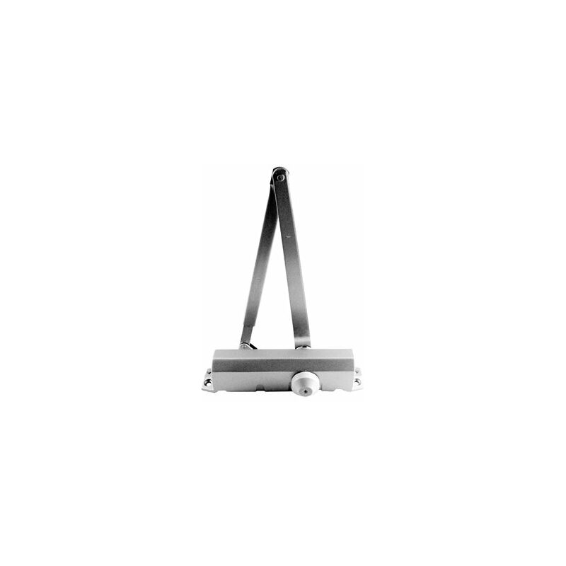 foto del prodotto alfa dyser chiudiporta handlock 1559 standard argento con fermo