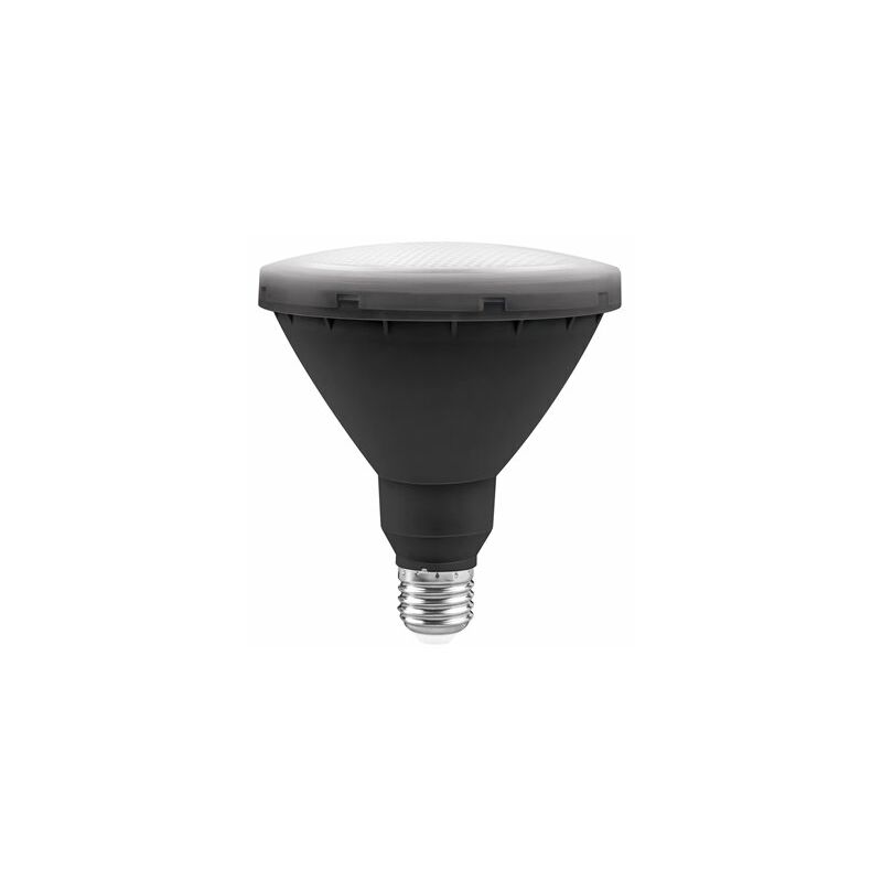 foto del prodotto alfa lampadina led da giardino par38 ip65 matel e27 15w freddo