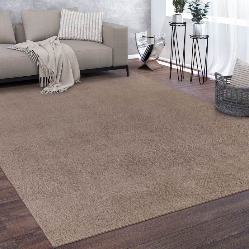 foto del prodotto alfombra sal n pelo corto lavable monocolor moderna suave taupe 80x150 cm paco home