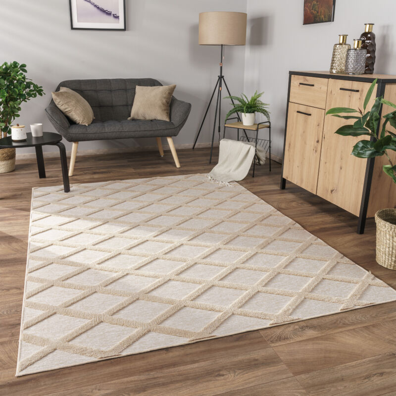 foto del prodotto alfombra salon de habitacion pelo corto boho chic nordica 3d moderna 160x220 cm, beige paco home