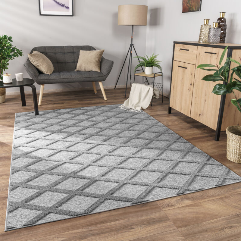 foto del prodotto alfombra salon de habitacion pelo corto boho chic nordica 3d moderna 60x100 cm, grigio paco home