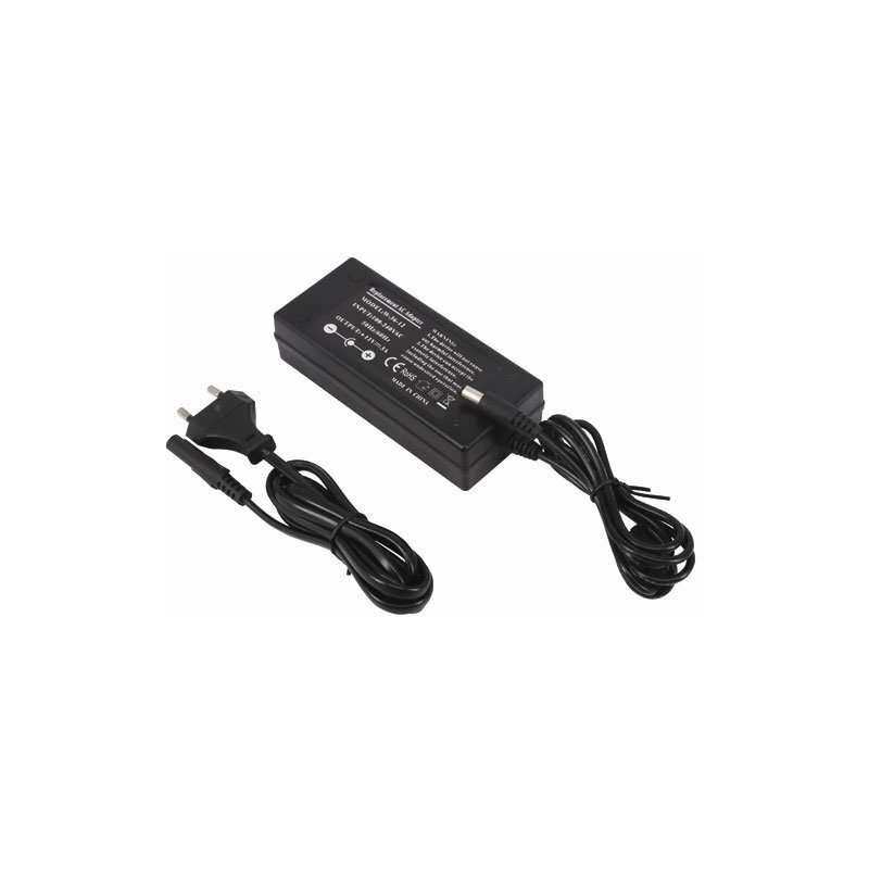 foto del prodotto alimentazione dc12v 60w 5a con jack prise