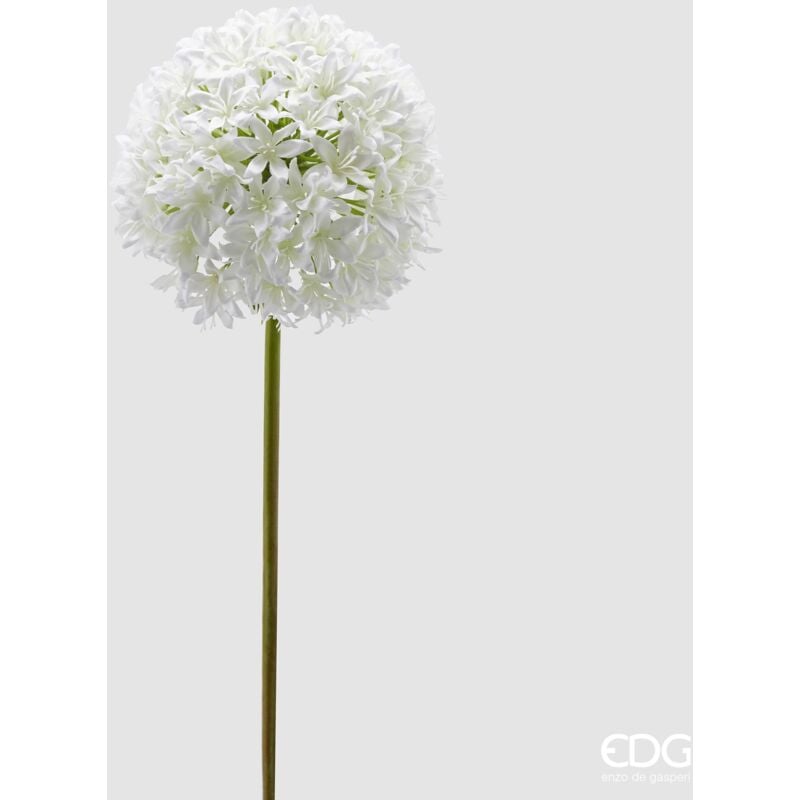 foto del prodotto allium ramo h.90 c4
