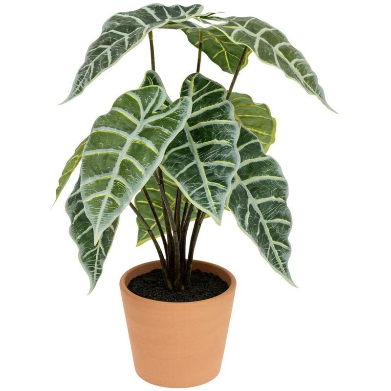 foto del prodotto alocasia artificiale h43cm verde atmosphera cr ateur d int rieur