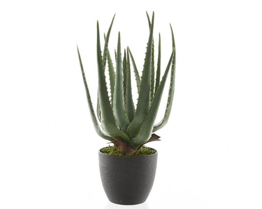 foto del prodotto aloe in vaso artificiale 40cm verde - accessori decorativi per casa interni ed esterni