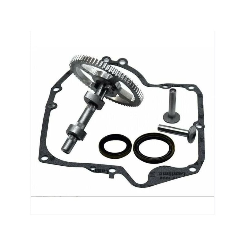 foto del prodotto alovez carburatore, alberi a camme briggs stratton 793880 793583 792681 791942 795102 kit di sostituzione camme