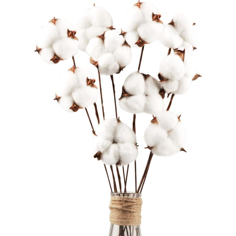 foto del prodotto alovez confezione da 30 fiori di cotone naturali secchi fiori secchi stelo di cotone fiore naturale rami finti piante di cotone finte decorazione