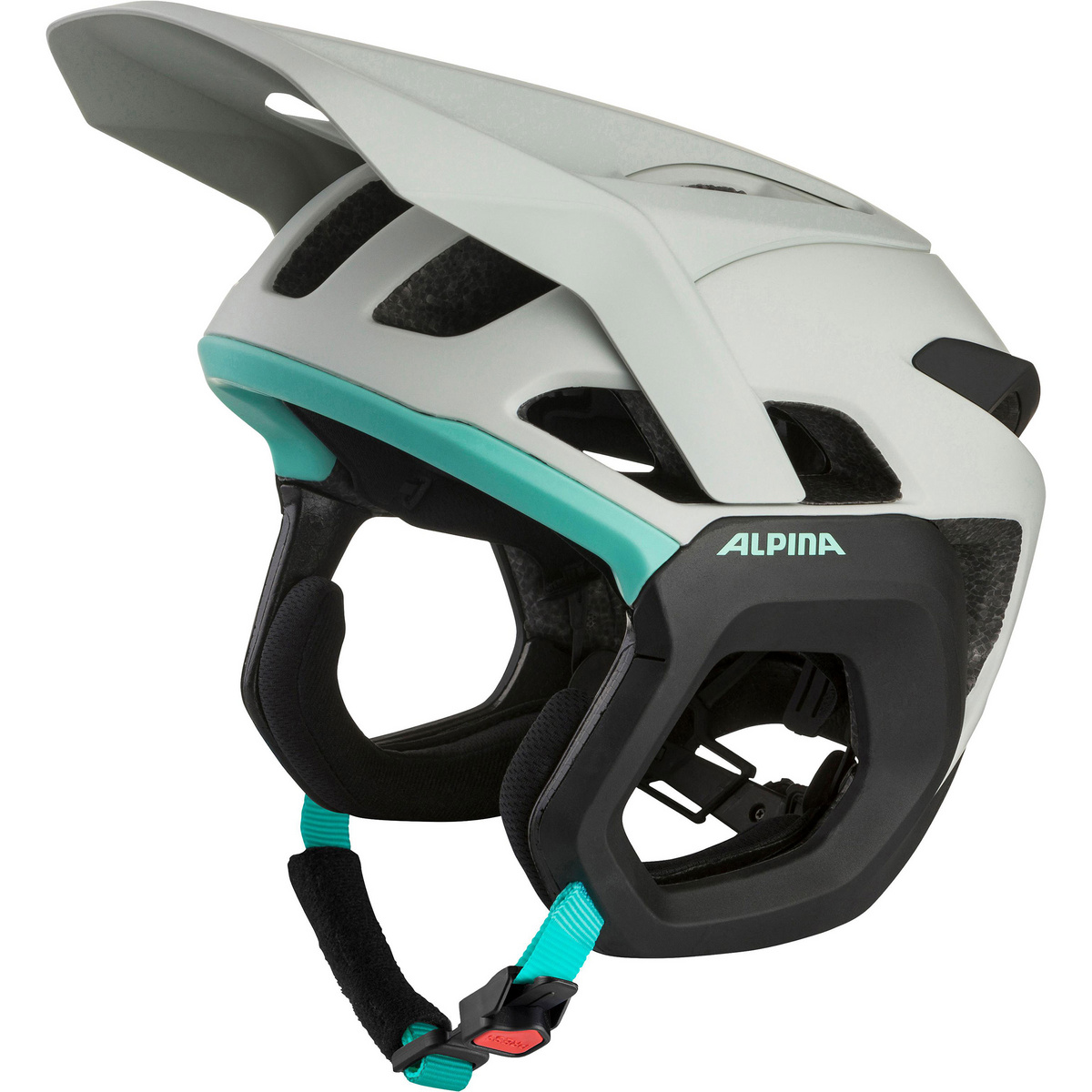 foto del prodotto alpina casco da bici root mips