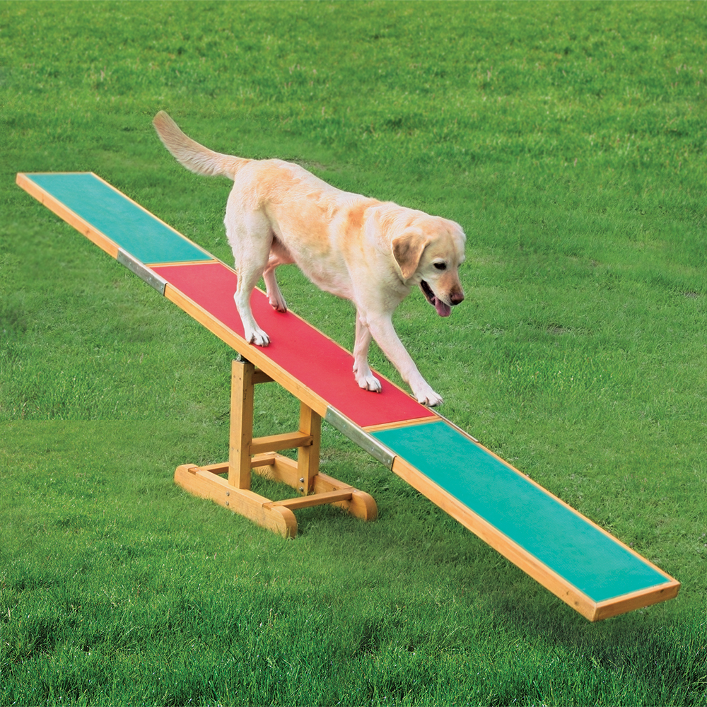 foto del prodotto altalena trixie agility dog l 300 x p 34 x h 54 cm