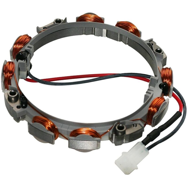 foto del prodotto alternatore 2 4 ah con diodo dual circuit avviamento motore briggs 696459 592831