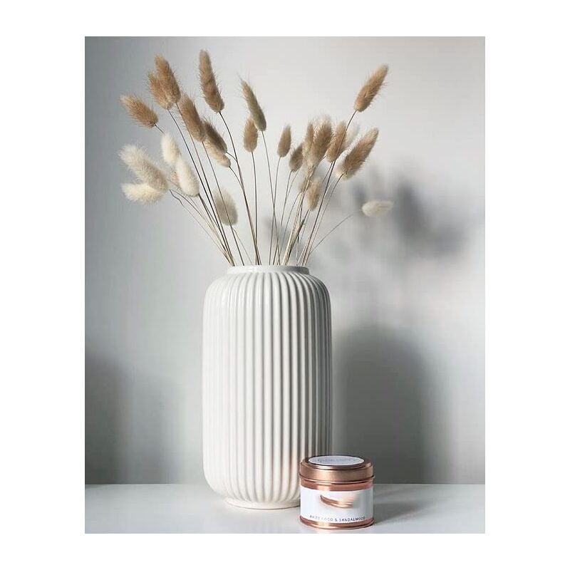 foto del prodotto altezza 20 cm vaso a coste in ceramica bianca per pampas, vasi decorativi per centrotavola