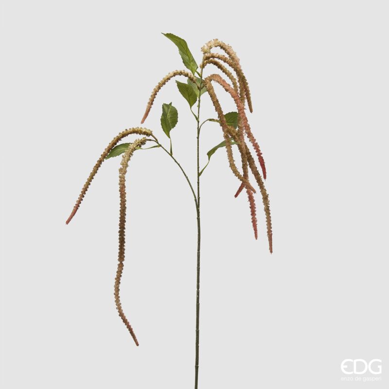 foto del prodotto amaranthus ramo h130
