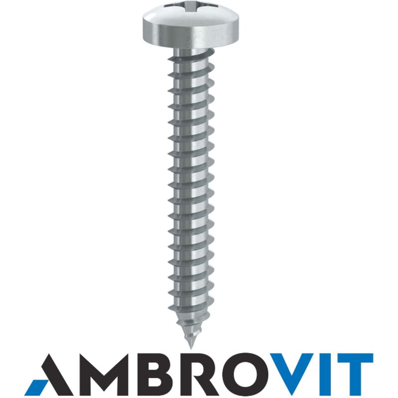 foto del prodotto ambrovit spa viti autof. zinc. tc 5,5x38