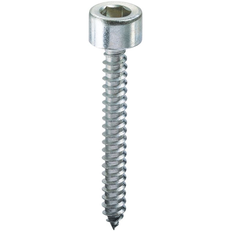 foto del prodotto ambrovit vite autofilettante tc con esagono incassato mm. 5,5x38 2 centinaia ambrovit