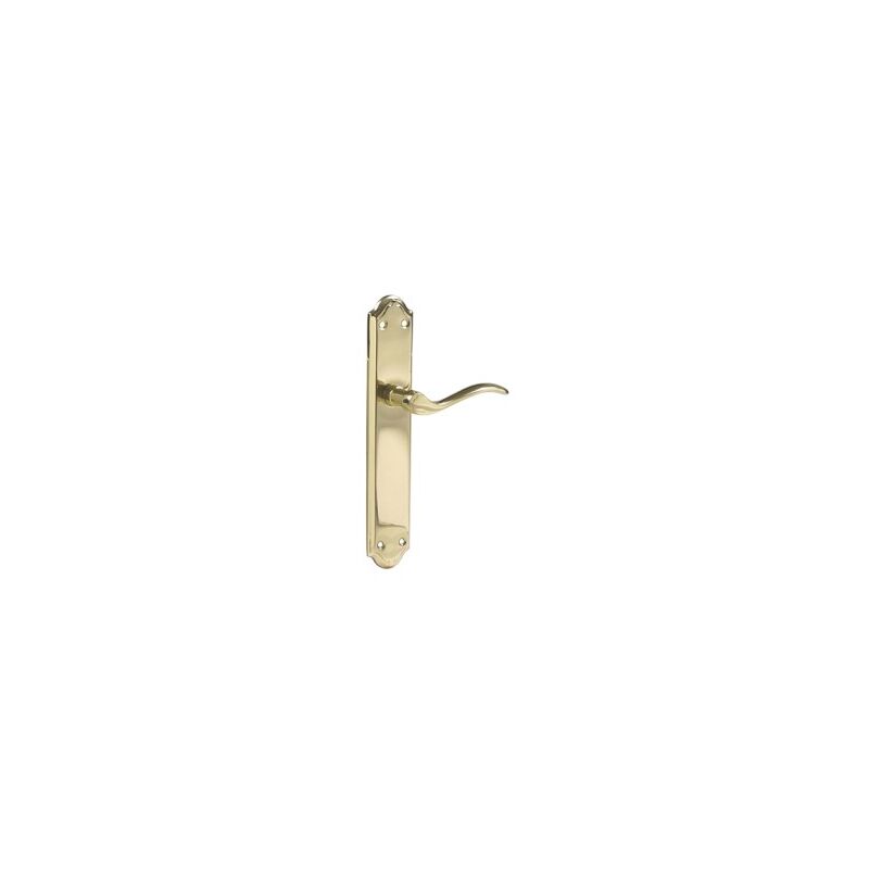 foto del prodotto amig manovella in ottone lucido 242x44mm mod. amico alpha 23518