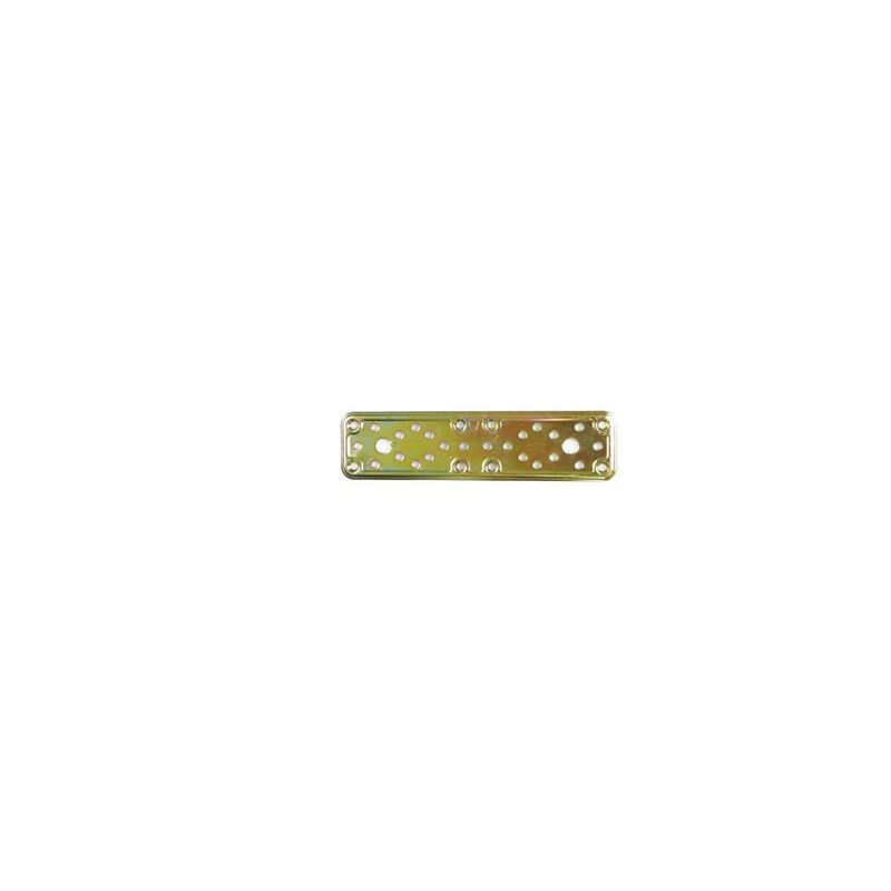 foto del prodotto amig scatola da 10 piastre brico dritte. modello 200x50x2,2mm 500 amici
