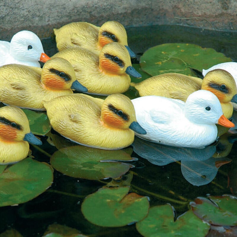 foto del prodotto anatroccoli bianchi decorativi per laghetti da giardino