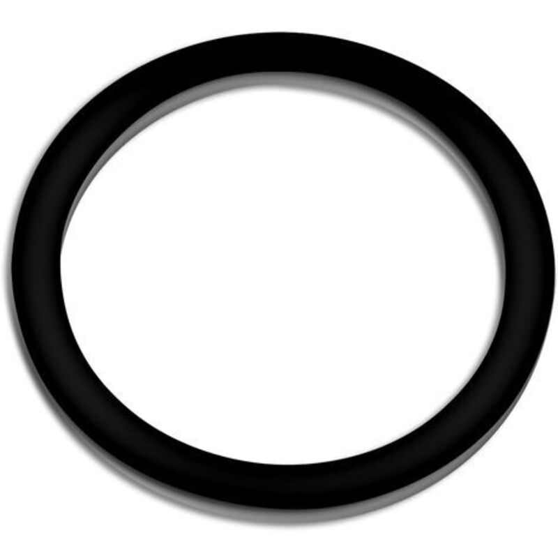 foto del prodotto anello di guarnizione di ricambio per filtro bio per laghetti sunsun cbf-200t/cbf-200u/cbf-200