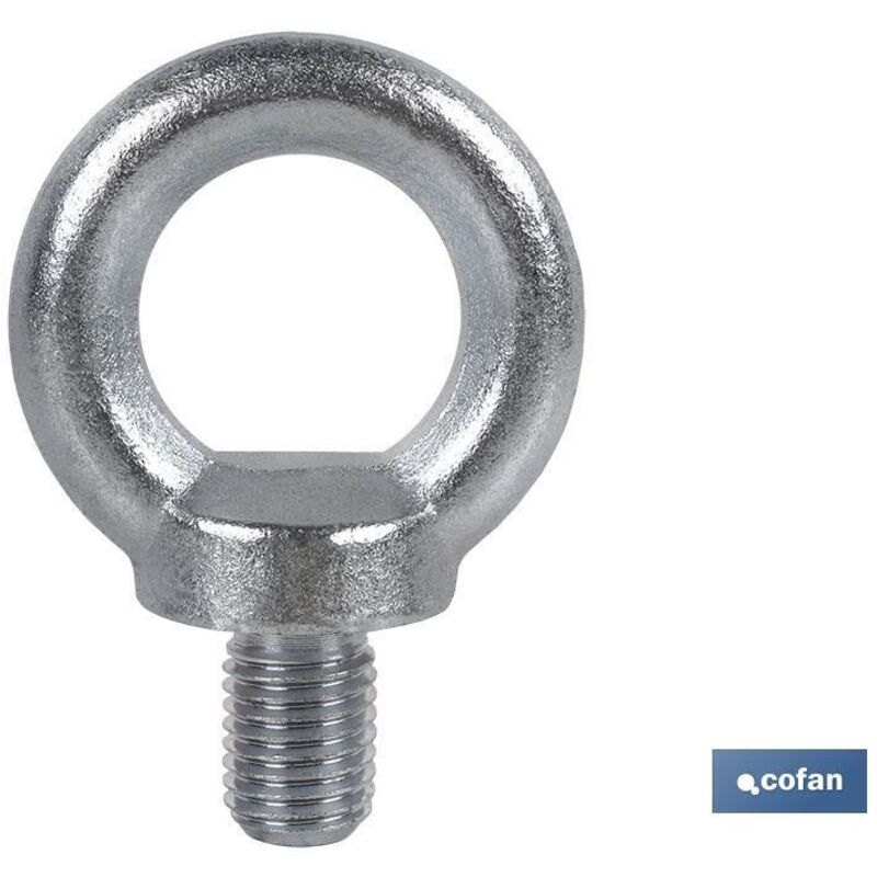 foto del prodotto anello di sollevamento maschio din 580 m-24 zn