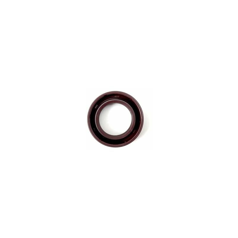 foto del prodotto anello di tenuta originale stiga motore rasaerba sumec sv 150