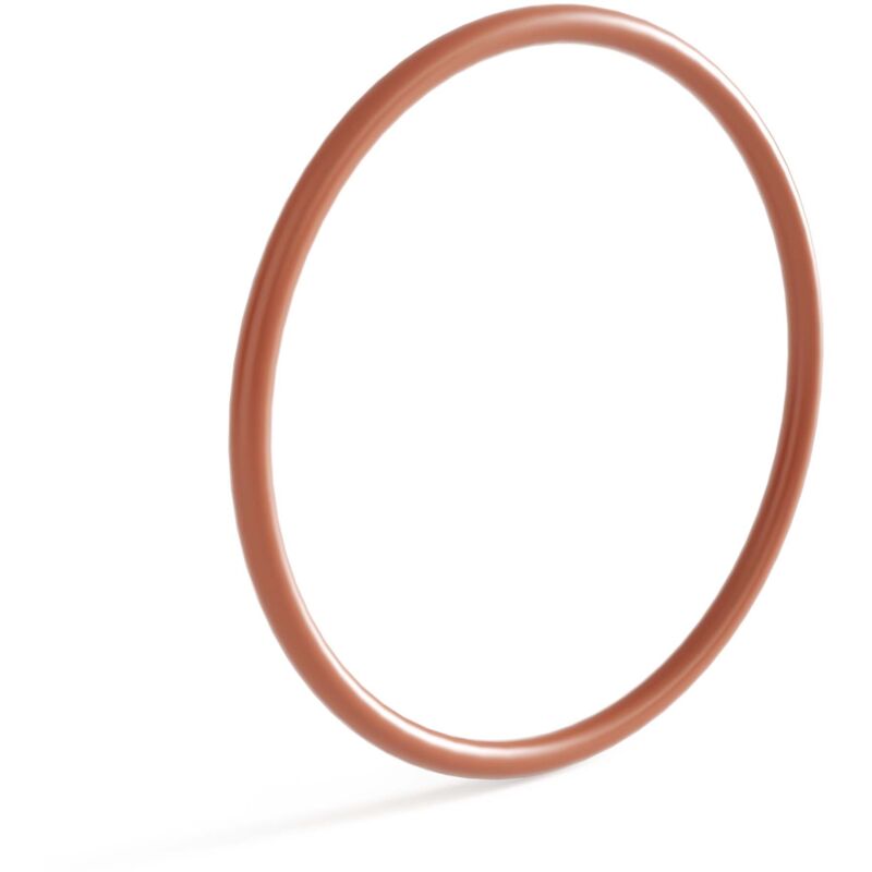 foto del prodotto anello o ring 2 di ricambio per chiarificatore per laghetto sunsun cuv 136 guarnizione