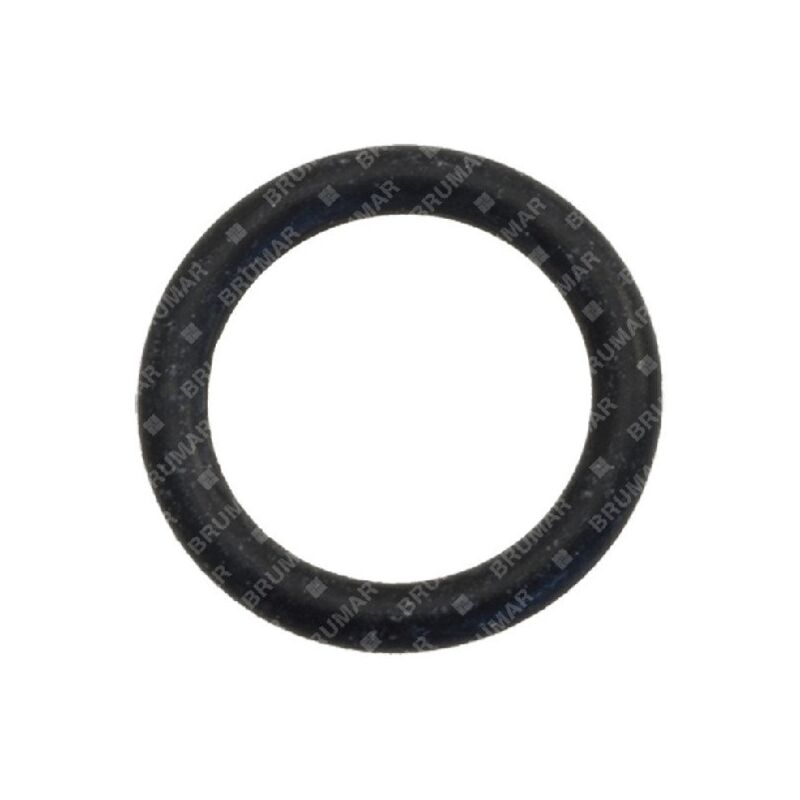 foto del prodotto anello or per pompe bertolini compatibile 001022