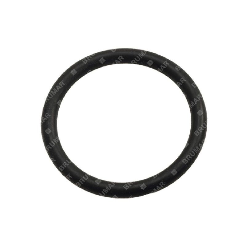 foto del prodotto anello or per pompe bertolini compatibile 003319