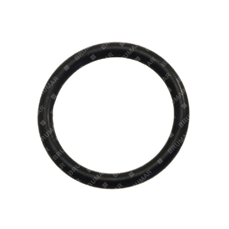 foto del prodotto anello or per pompe bertolini compatibile 004572