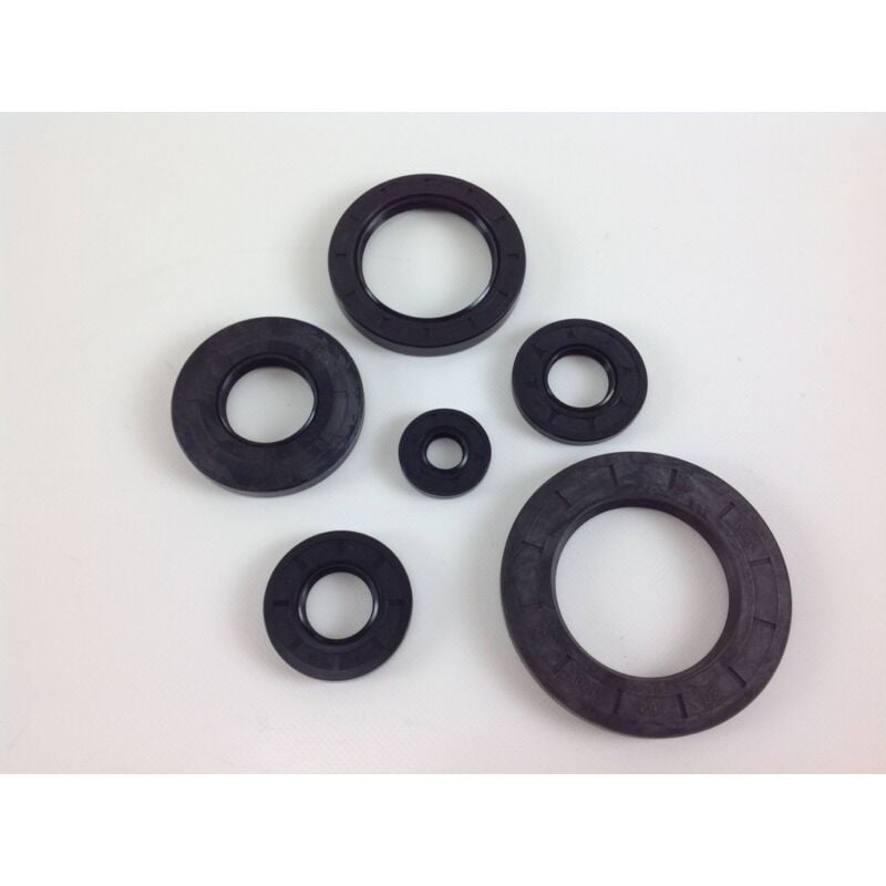 foto del prodotto anello originale briggs stratton 690736