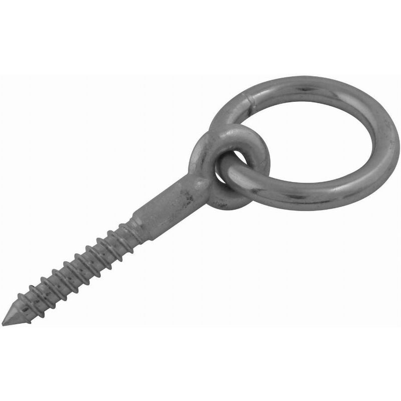 foto del prodotto anello stabile in acciaio zincato viso albero 55 mm filo 10 aev55e