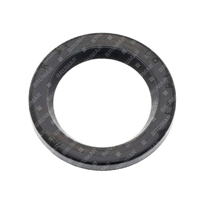 foto del prodotto anello tenuta kaaz compatibile 059442