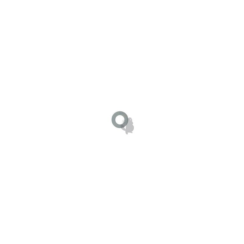 foto del prodotto anello testina rif 1602850 compatibile