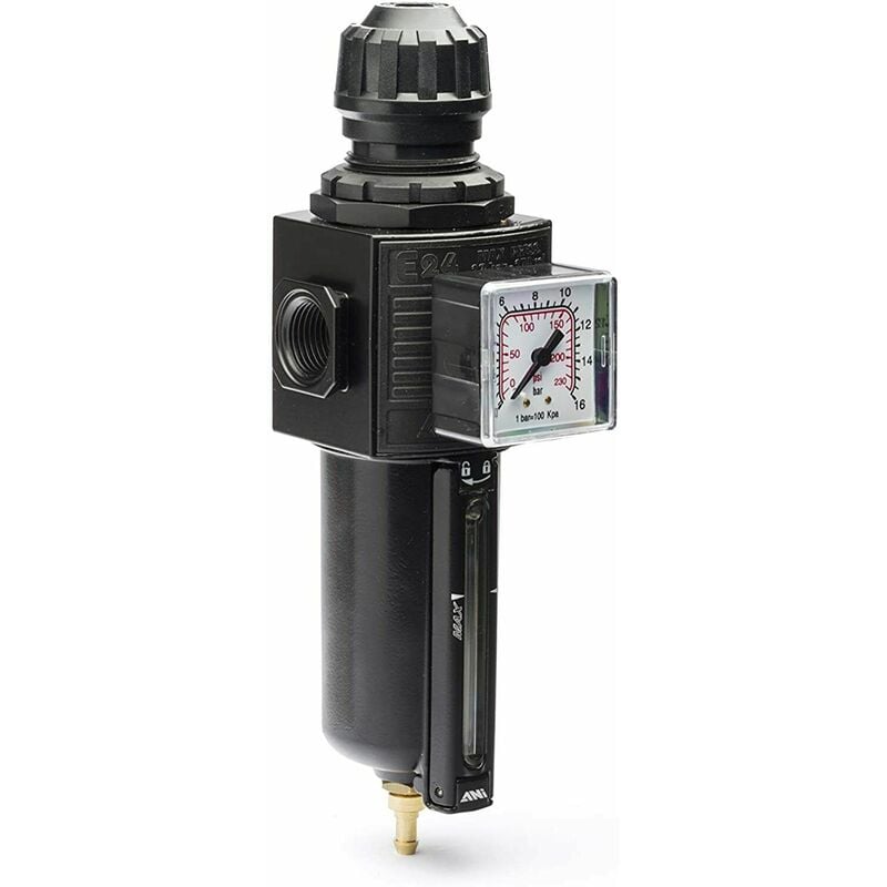 foto del prodotto ani filtro regolatore di pressione modulare con protezione compressore e 24 2 p