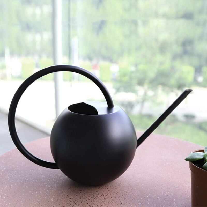 foto del prodotto annaffiatoio da 1000 ml con beccuccio lungo, bollitore in acciaio inox antigraffio per annaffiare piante e fiori in vaso da interno ed esterno
