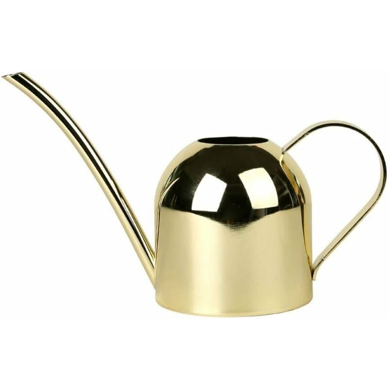 foto del prodotto annaffiatoio in acciaio inox in stile moderno per piante da appartamento con comoda impugnatura, beccuccio lungo, corpo solido per uso interno ed