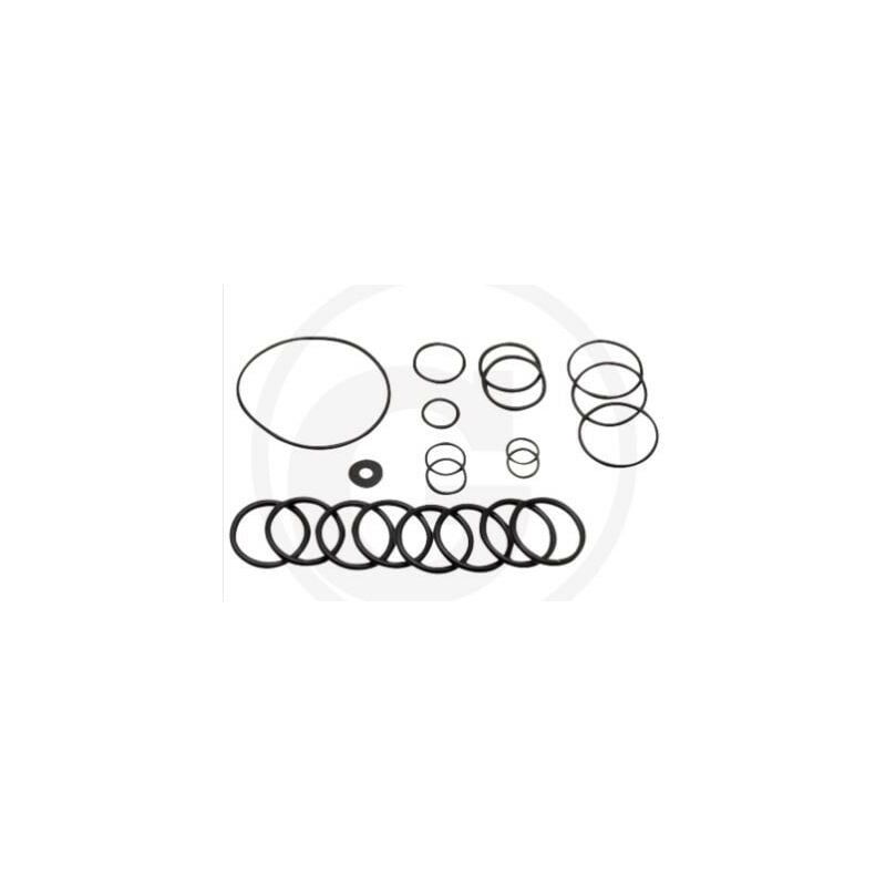 foto del prodotto annovi reverberi kit o ring dal 2010 per pompa a membrana ar215 bp c c blue flex annovi 67042513
