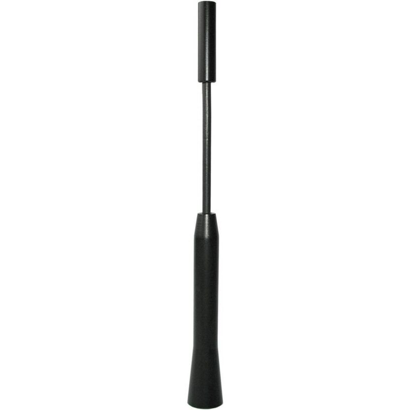 foto del prodotto antenna ad asta per auto alluminio nero eufab 17564
