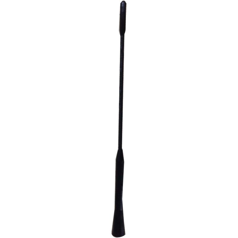 foto del prodotto antenna spirale universale per auto lunghezza 24 cm