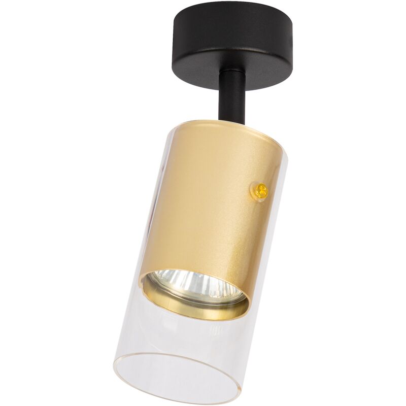 foto del prodotto apparecchio ricky spot gold 1xgu10