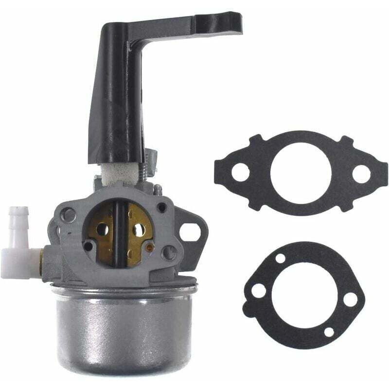 foto del prodotto applicabile al carburatore di ricambio con kit guarnizioni per briggs stratton 696065 110402