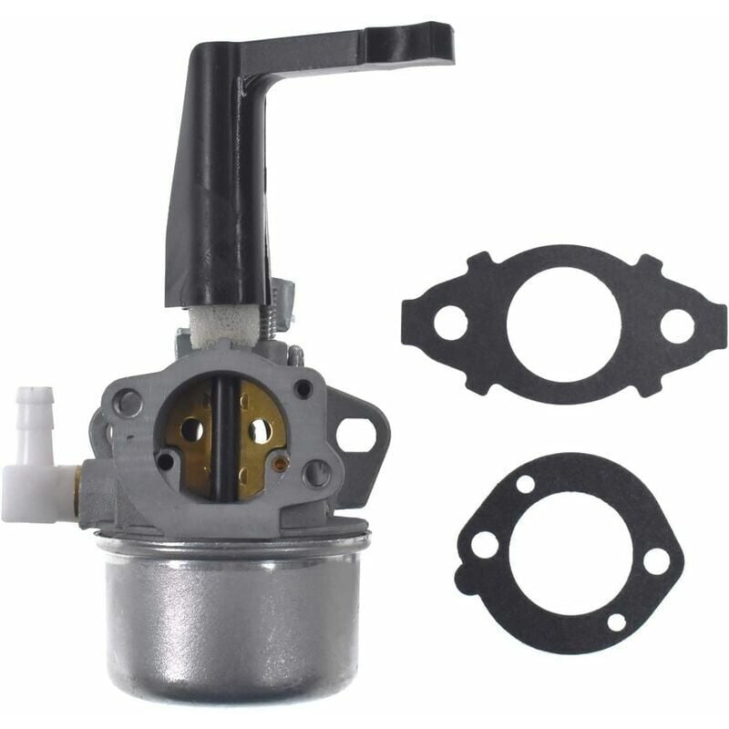 foto del prodotto applicabile al carburatore di ricambio con kit guarnizioni per briggs stratton 696065 110402