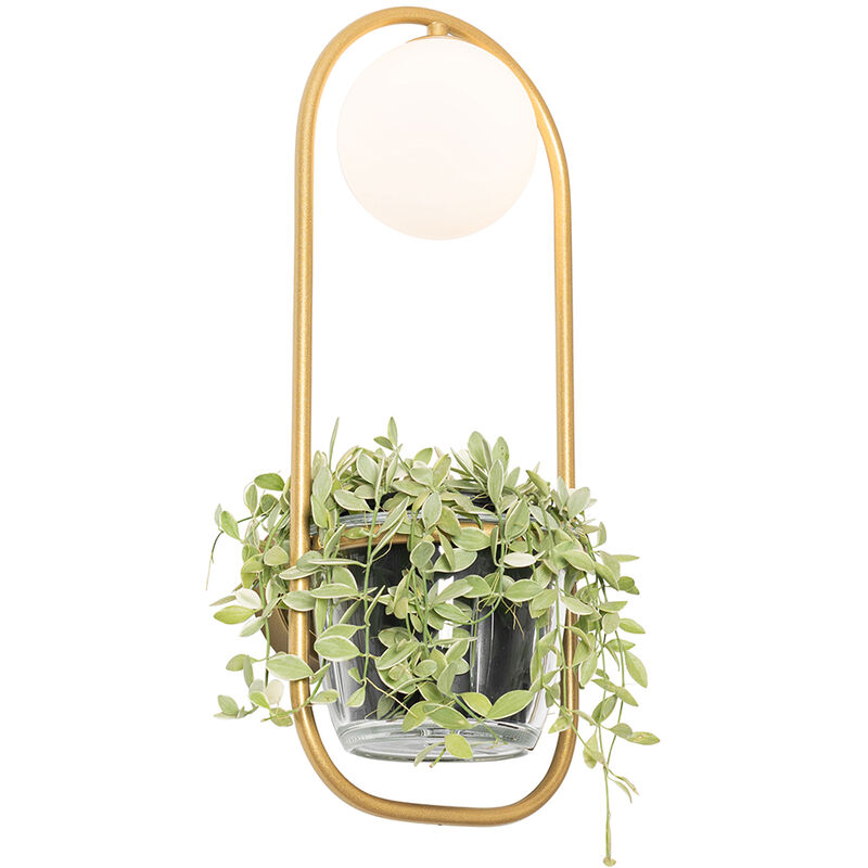 foto del prodotto appliques isabella art d co acciaio,vetro oro ottone bianco ovale max. 1 x watt qazqa