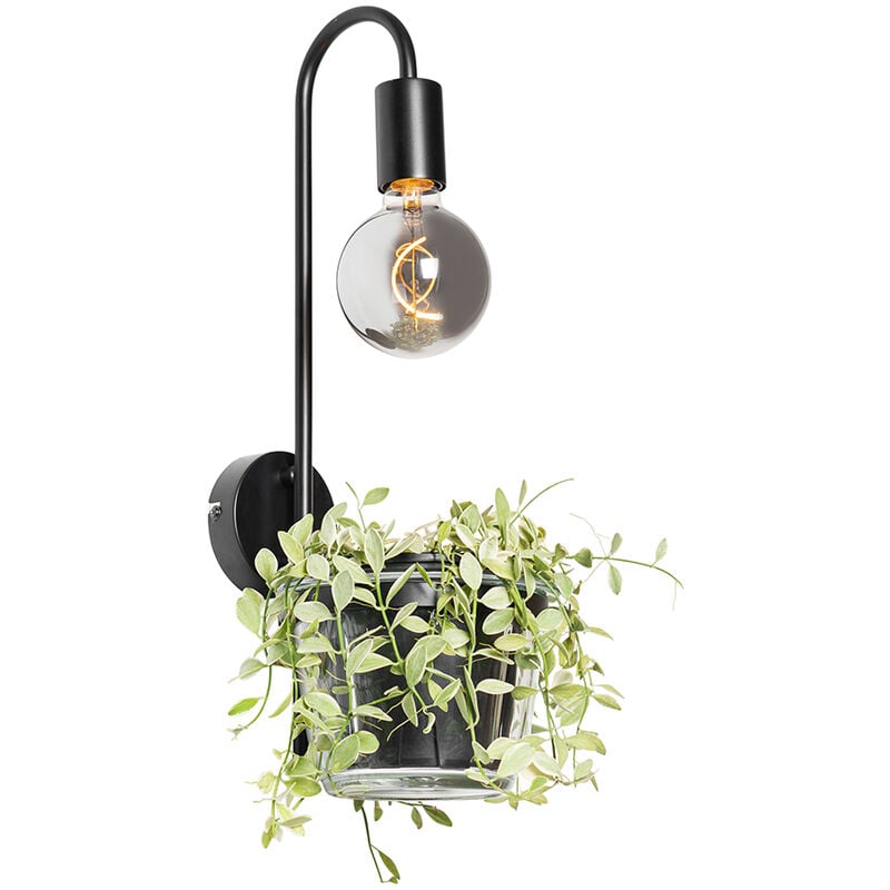 immagine 0 del prodotto appliques roslini moderno acciaio,vetro nero oblungo max. 1 x watt qazqa