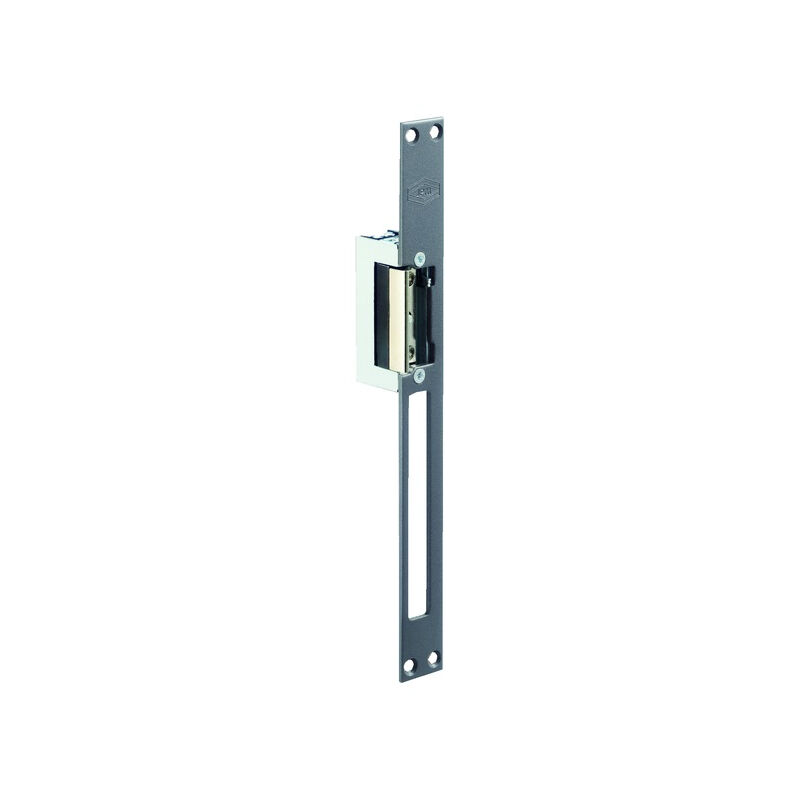 foto del prodotto apriporta elettrico jpm standard 12v 001037 01 1a