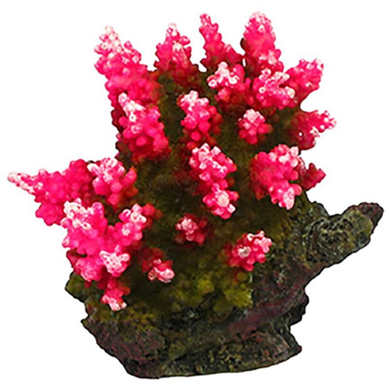 foto del prodotto aql decorazione corallo in resina modello acropora 4 cm8x6x7h