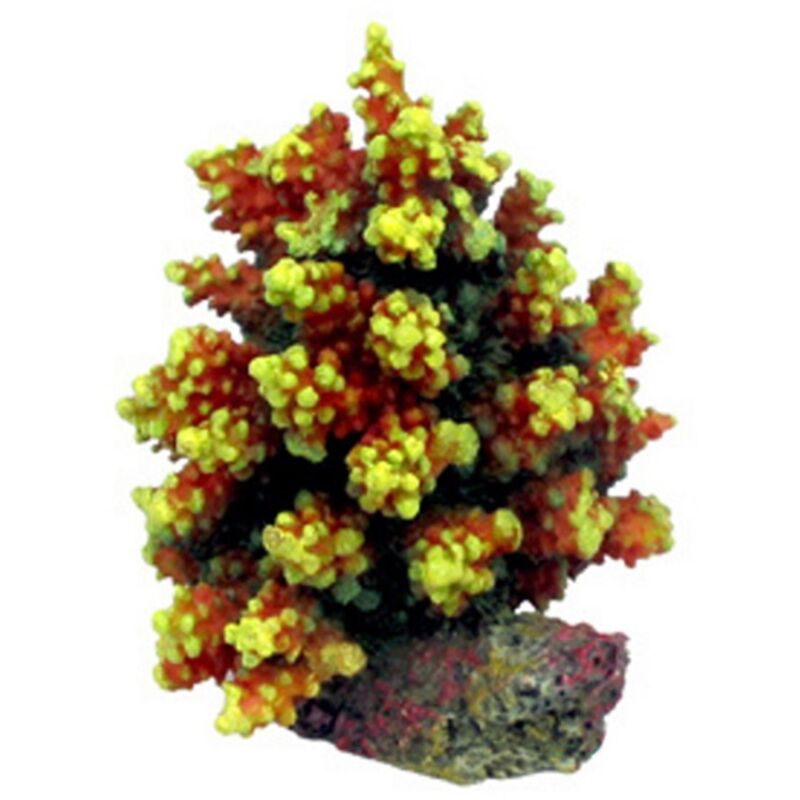 foto del prodotto aql decorazione corallo in resina modello acropora 7 cm6x6x8h